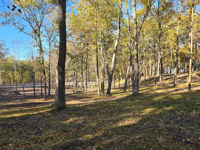 TRACTL Blybergs Ln, Pelican Rapids, MN 56572