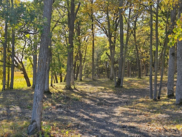 TRACTL Blybergs Ln, Pelican Rapids, MN 56572