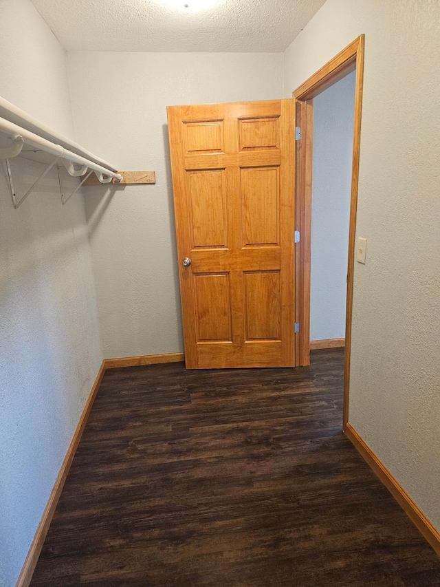 walk in closet with dark hardwood / wood-style flooring