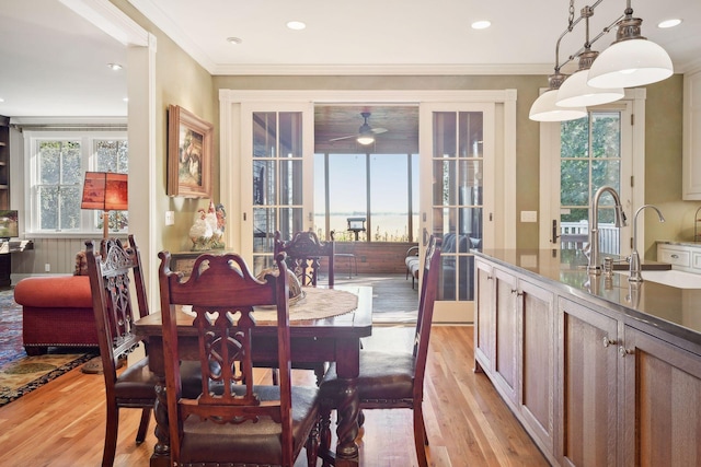 dining area with sink, ornamental molding, ceiling fan, and light wood-type flooring