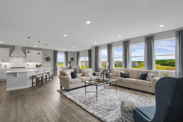 living room with plenty of natural light and hardwood / wood-style floors