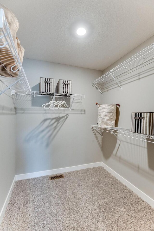 spacious closet featuring carpet flooring