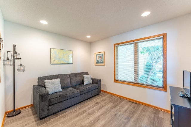 living room featuring light wood-type flooring