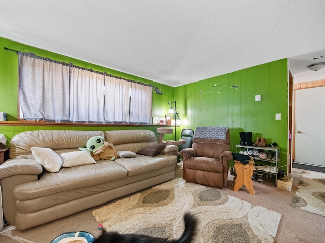 living room with a textured ceiling and carpet flooring