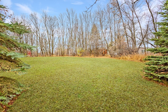 11421 Abby Ln NW, Alexandria, MN 56308 - view of green lawn