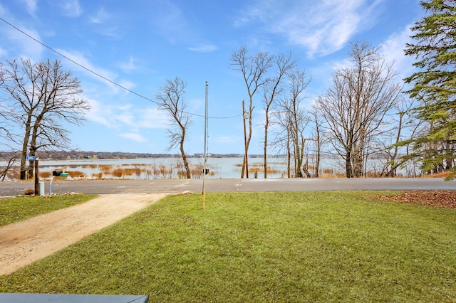 11421 Abby Ln NW, Alexandria, MN 56308 - view of green lawn with a water view