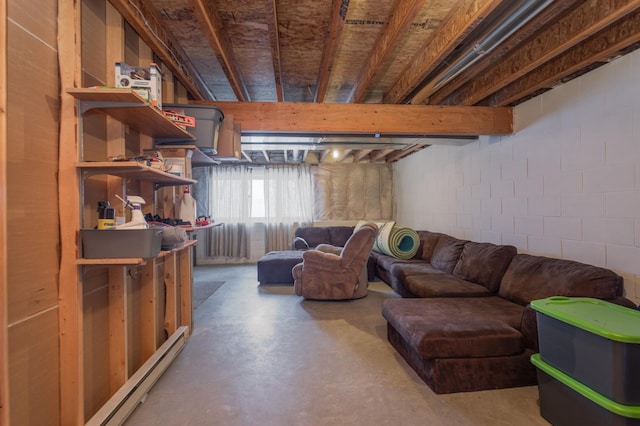 11421 Abby Ln NW, Alexandria, MN 56308 - basement featuring concrete block wall