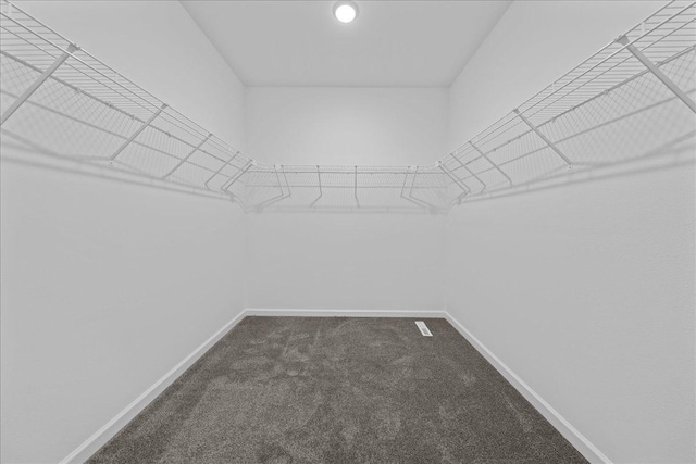 3828 Northern Ave, Spring Park, MN 55384 - spacious closet featuring dark colored carpet