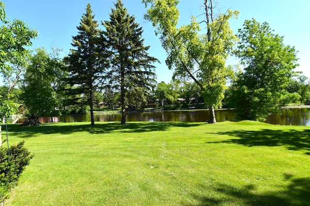 view of yard with a water view