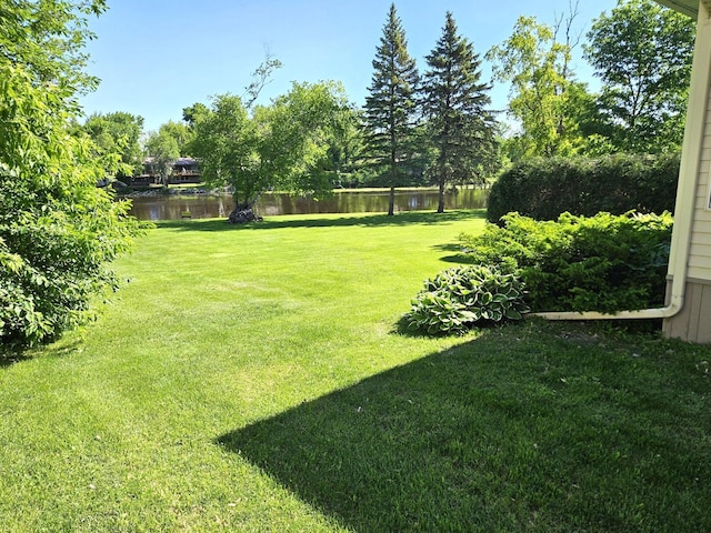 view of yard featuring a water view