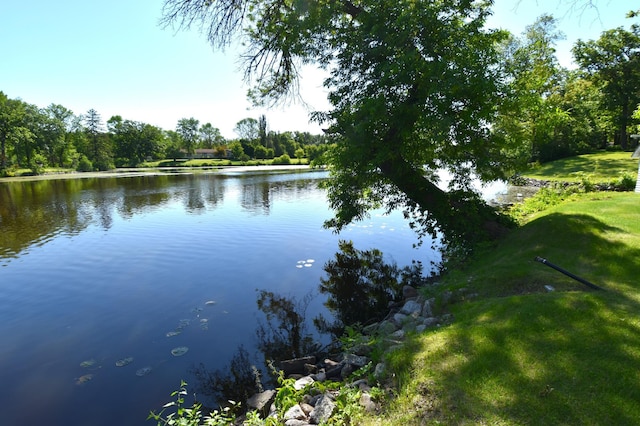 property view of water