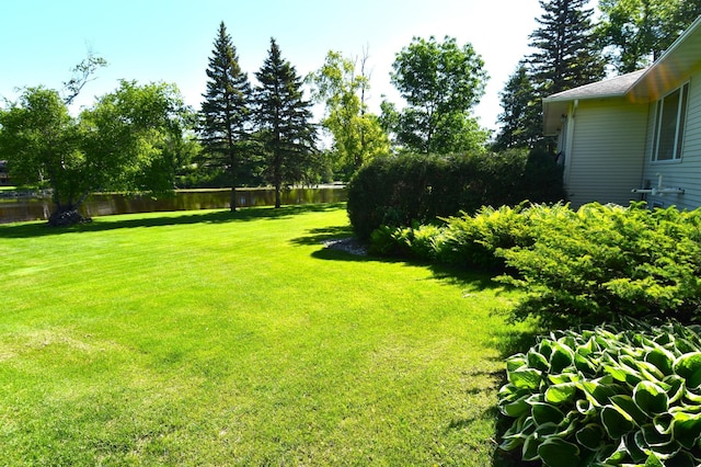 view of yard with a water view