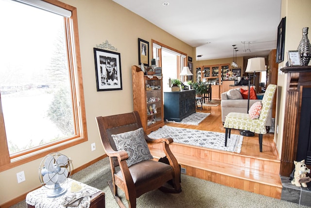 living area with wood-type flooring