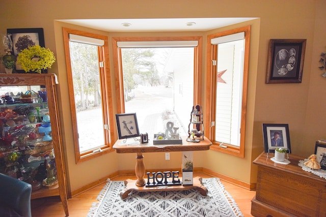 home office featuring light hardwood / wood-style flooring and a healthy amount of sunlight