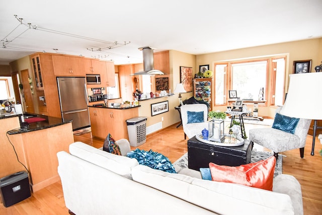 living room with rail lighting, light hardwood / wood-style floors, and sink