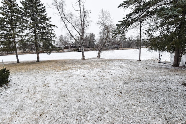 view of snowy yard