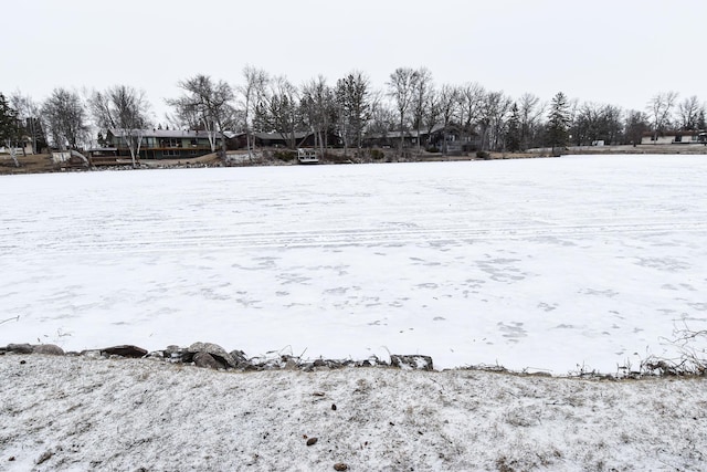 view of snowy yard