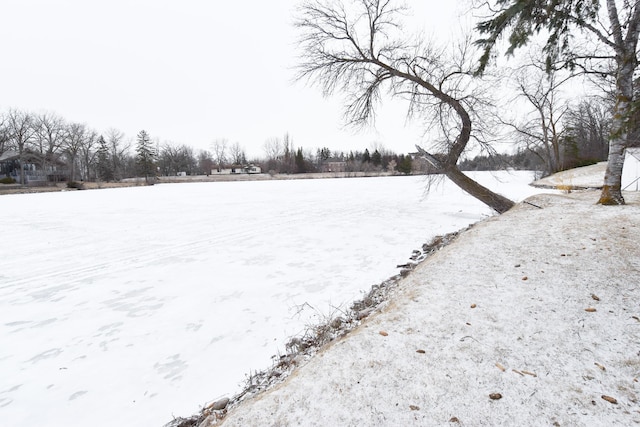 view of yard layered in snow