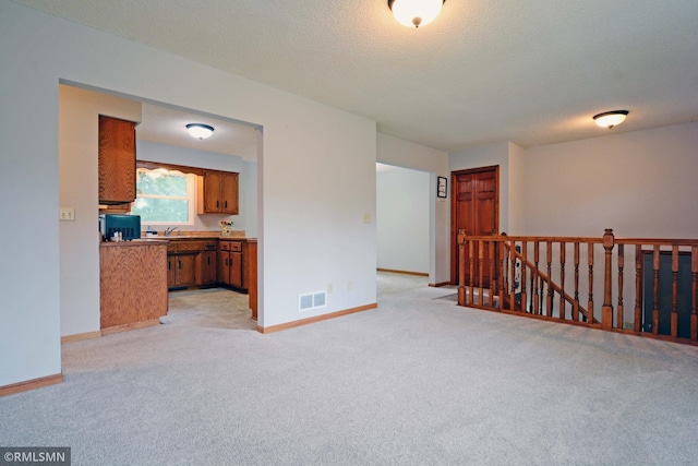 empty room with light carpet, a textured ceiling, and sink