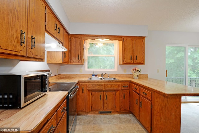 kitchen with sink, appliances with stainless steel finishes, kitchen peninsula, and a wealth of natural light