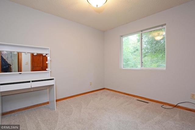 interior space with light carpet and a textured ceiling