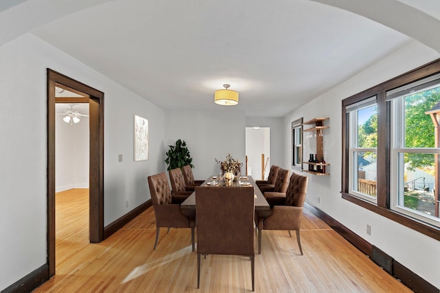 dining room with ceiling fan and light hardwood / wood-style flooring