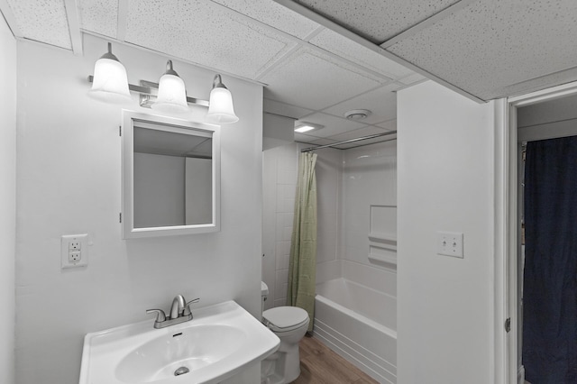 full bathroom with sink, a drop ceiling, hardwood / wood-style floors, toilet, and shower / bathtub combination with curtain