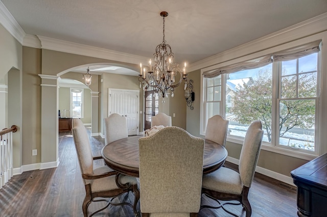 dining room featuring crown molding, a healthy amount of sunlight, and dark wood-type flooring