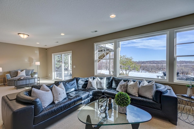 living room featuring carpet and a textured ceiling