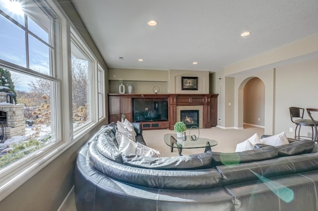 living room with carpet floors