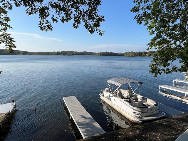 dock area with a water view