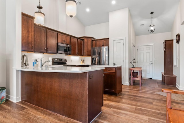 646 Shardlow Pl NE, Byron, MN 55920 - kitchen featuring a peninsula, wood finished floors, high vaulted ceiling, light countertops, and appliances with stainless steel finishes