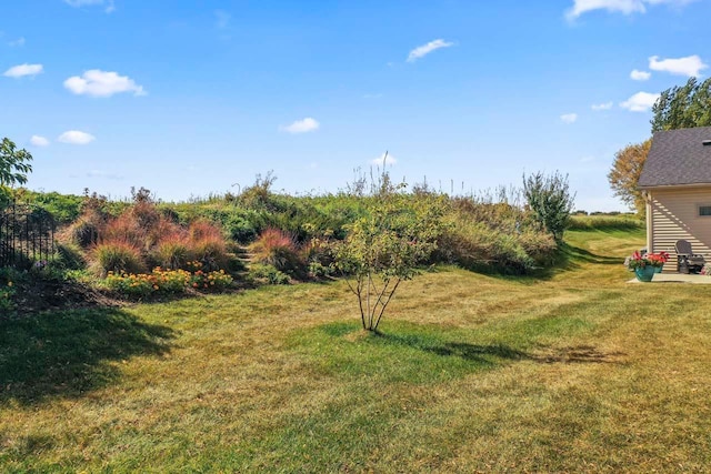 646 Shardlow Pl NE, Byron, MN 55920 - view of yard