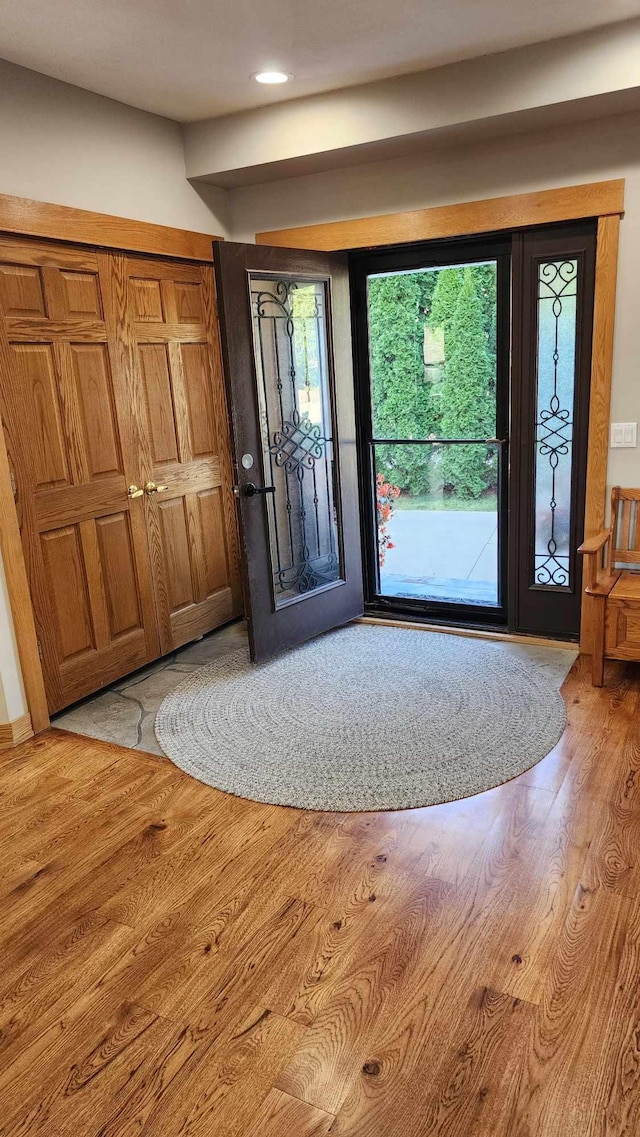 entrance foyer with wood-type flooring