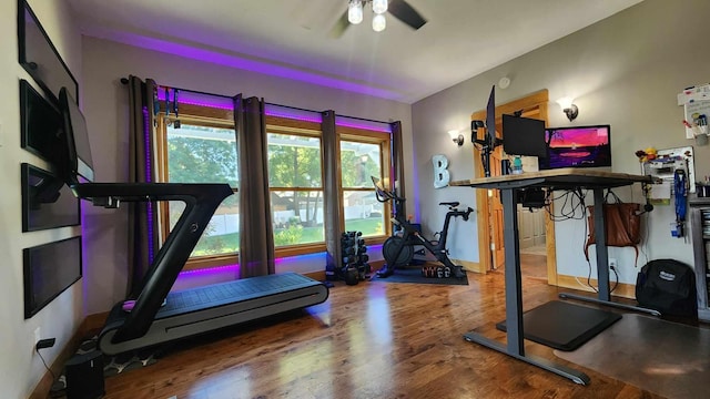 exercise area with ceiling fan and hardwood / wood-style floors