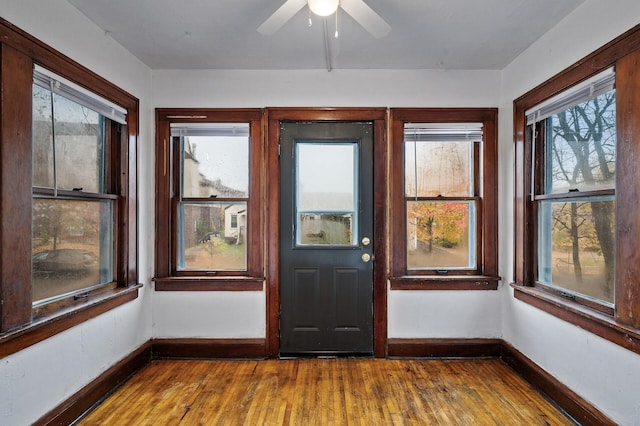 entryway with ceiling fan and hardwood / wood-style flooring