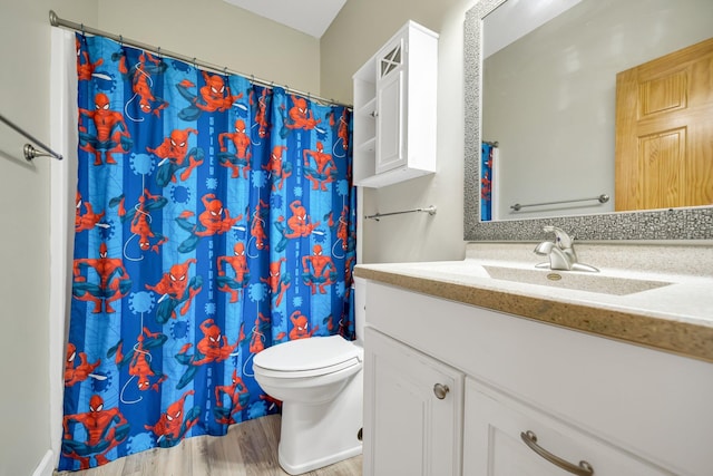 bathroom with vanity, hardwood / wood-style flooring, and toilet