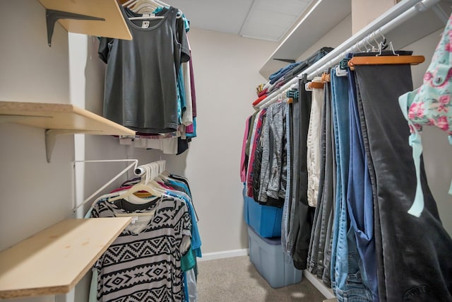 spacious closet featuring light colored carpet