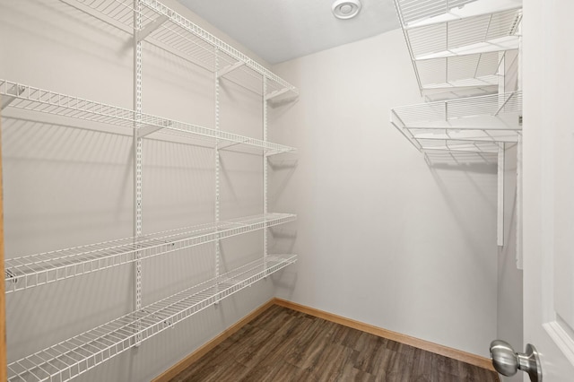 spacious closet with dark wood-type flooring