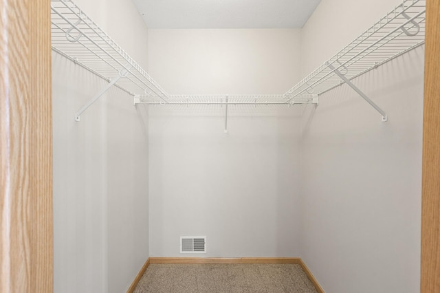 walk in closet with carpet