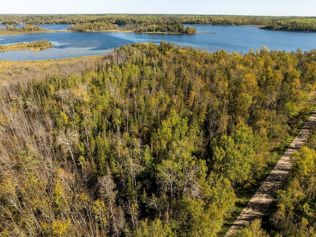 TBD Cedar Point Rd, Marcell MN, 56657 land for sale