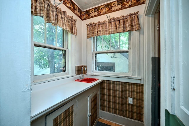 bathroom featuring hardwood / wood-style floors and sink