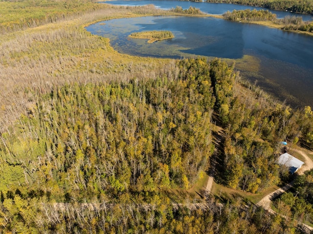 TBD Cedar Point Rd, Marcell, MN 56657