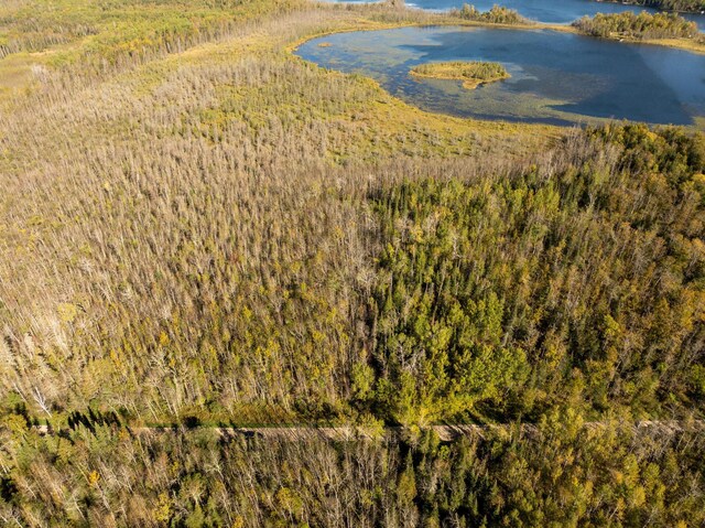 TBD Cedar Point Rd, Marcell, MN 56657