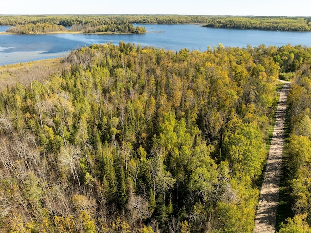 TBD Cedar Point Rd, Marcell, MN 56657