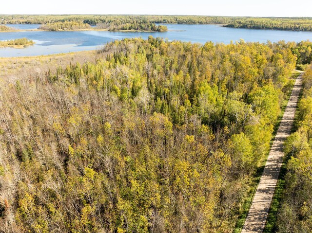 TBD Cedar Point Rd, Marcell, MN 56657