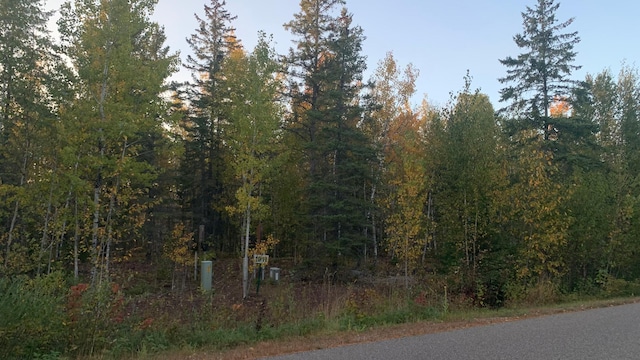 TBDLOT11 Pine Tree Ln, Coleraine MN, 55722 land for sale