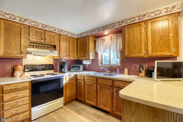 kitchen with white range with electric cooktop, light hardwood / wood-style flooring, and sink