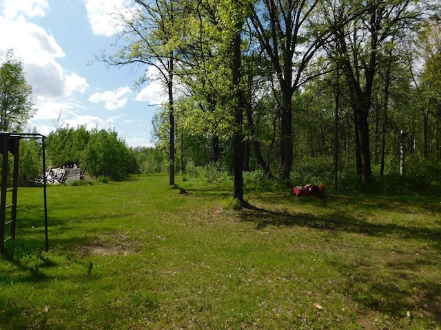 view of yard with a wooded view