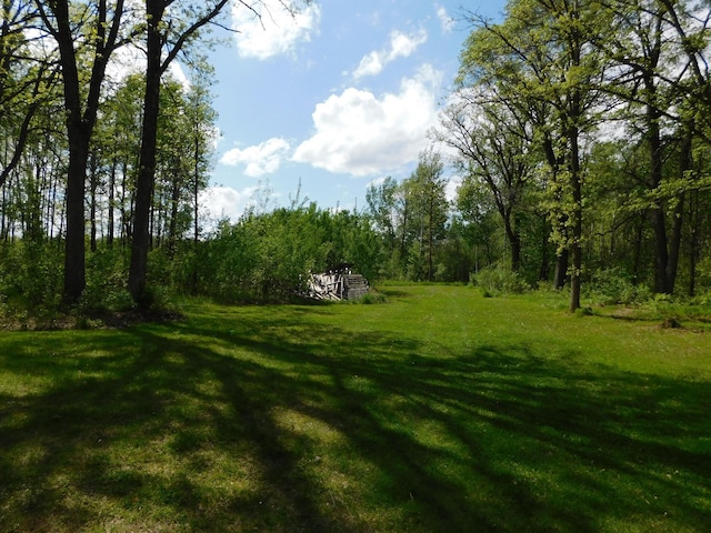 view of yard featuring a forest view